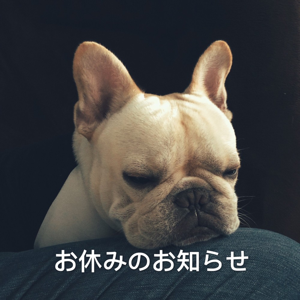 2026年2月お休みのお知らせ