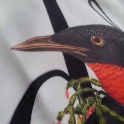 Birdman 帆布袋 第4張的照片