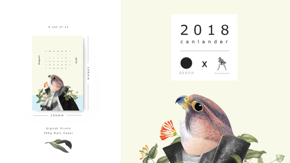 Birdman 2018年 日曆明信片 第3張的照片