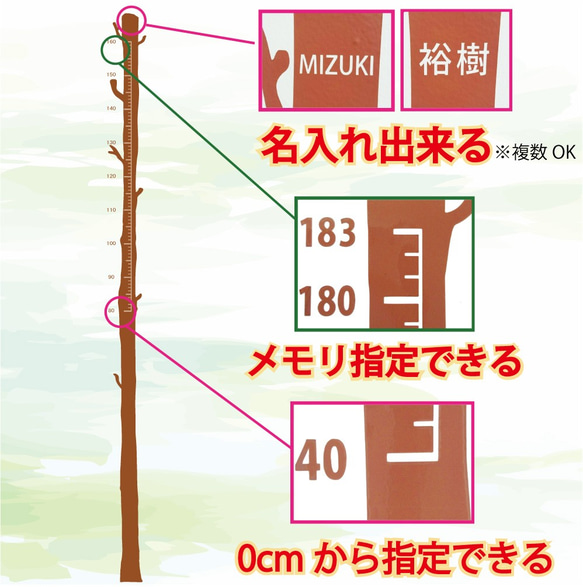 【キッズデザイン賞】一緒に育つ木の身長計　200cm　ウォールステッカー　壁　名入れ　サイズ変更　身長計  s113 6枚目の画像