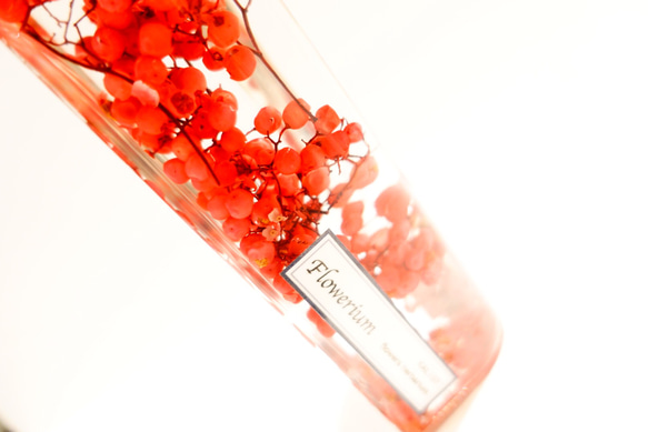 ハート瓶♡ハーバリウム・flowerium《ペッパーベリー》 2枚目の画像