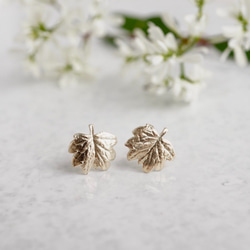 Barnet leaf stud earrings [EP069K10] 第1張的照片