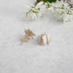 Barnet leaf stud earrings [EP069K10] 2枚目の画像