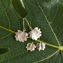 Barnet leaf stud earrings [EP069K10] 第4張的照片