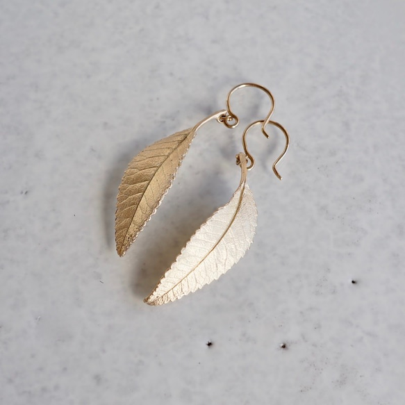 Elm leaf earrings [EP054K10] 3枚目の画像