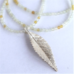 Elm leaf necklace [P078SV（NS)] 第1張的照片