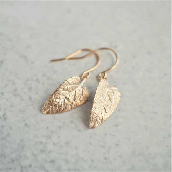 Eupatorium earrings [EP063K10] 2枚目の画像