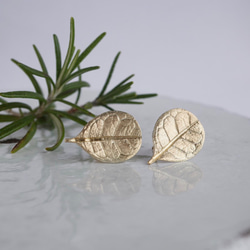 Feijoa leaf stud earrings (small) [EP064K10] 第1張的照片