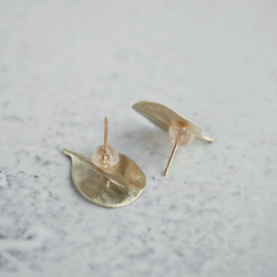 Feijoa leaf stud earrings (small) {EP064K10} 2枚目の画像