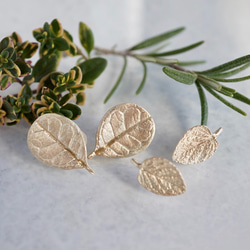 Feijoa leaf stud earrings (small) {EP064K10} 3枚目の画像