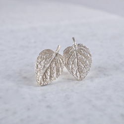 Marjoram stud earrings {EP062SV} 第2張的照片