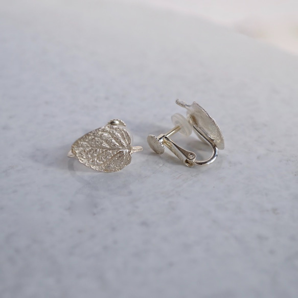 Marjoram stud earrings {EP062SV} 第3張的照片