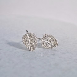 Marjoram stud earrings {EP062SV} 第5張的照片