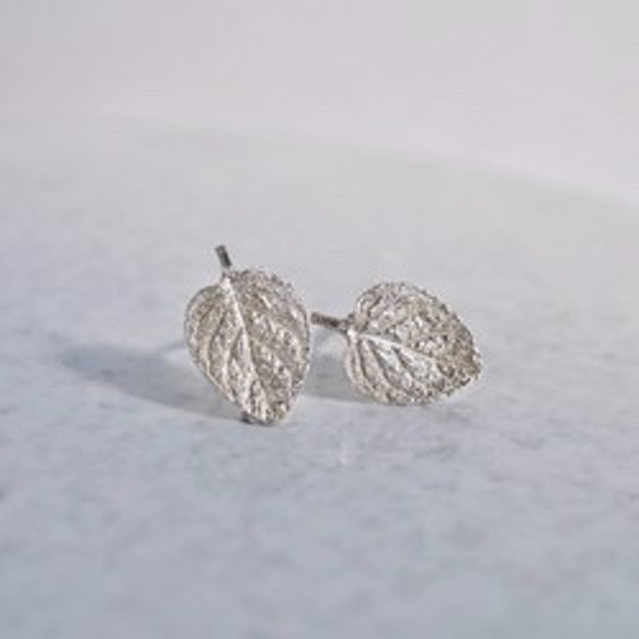 Marjoram stud earrings {EP062SV} 第5張的照片