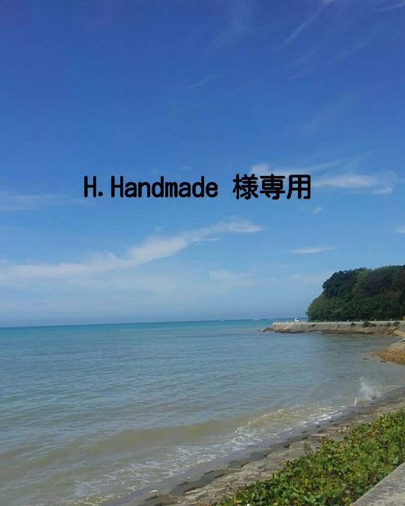 H.Handmade 様専用〈受注生産〉ヤギ革の手染めターコイズの名刺入れ 1枚目の画像