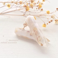 natural accessorise＊ドライフラワーのかすみ草が可愛い♢ナチュラルな耳飾り 1枚目の画像