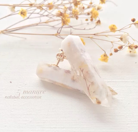 natural accessorise＊ドライフラワーのかすみ草が可愛い♢ナチュラルな耳飾り 1枚目の画像