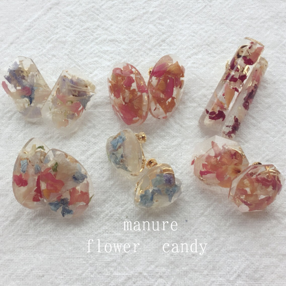 ◇flower candy◇キャンディのようなドライフラワーの耳飾り 2枚目の画像