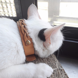 猫吉鞄製所【真皮/手作】貓 狗 項圈   頸環 編織 氣質 第2張的照片
