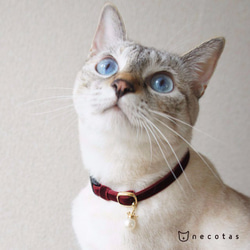 猫首輪*ベルベット ダークブルー 4枚目の画像
