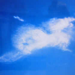 写真「龍雲」 額サイズ46×34㎝ 幸運を呼ぶ龍雲写真 3枚目の画像