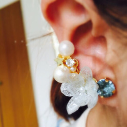繡球花和施華洛世奇水晶耳掛式無洞耳環 第1張的照片