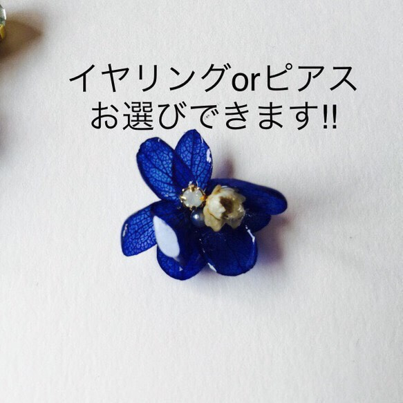 [一再]銷售藍色繡球花星和施華洛世奇Iyakafu和耳環或耳釘設定的2！ ︎ 第4張的照片