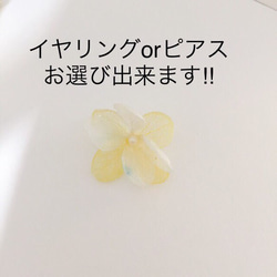 [轉賣]繡球花和施華洛世奇耳環和耳環或耳環2件套點︎黃色x藍色白色 第4張的照片