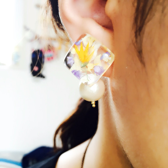 黃色小花(Melasphaerula ramosa) 造型耳針 第1張的照片