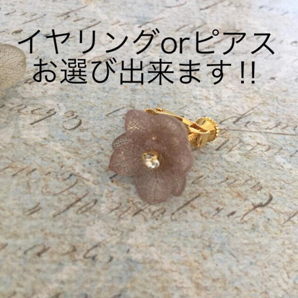 小繡球Iyakafu及耳環或者耳環2灰粉色 第4張的照片