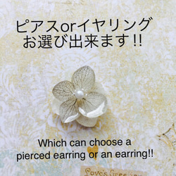 小繡球花耳骨夾＆耳夾式耳環or耳針耳環2個組 灰×白 第4張的照片