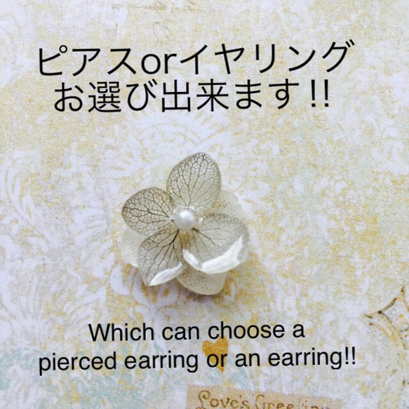 小繡球花耳骨夾＆耳夾式耳環or耳針耳環2個組 灰×白 第4張的照片