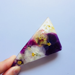 三角押花瓦萊塔紫紫百合 第1張的照片