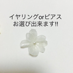 押し花アジサイイヤーカフ&イヤリングorピアス2点セット‼︎ 3枚目の画像