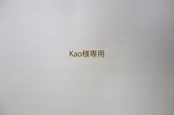 Kao様専用 1枚目の画像