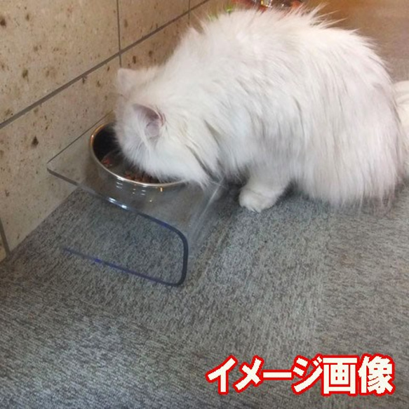 送料無料【猫 食器台 W ステンレスボウル２個】傾斜　アクリルガラスエッジ 4枚目の画像