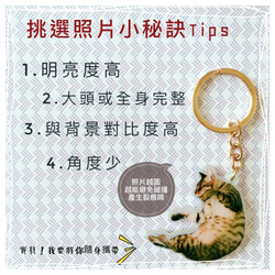訂製寵物壓克力鑰匙圈▶客製化 自訂圖片文字 可改吊牌 禮盒包裝 第7張的照片