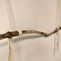 3月末まで❗️新生活　スプリングSALE  20%OFF❗️ 一本枝流木のハンガーラック ウォールフック ハンガーフック 5枚目の画像