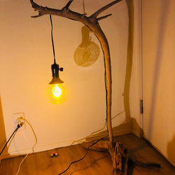 木の幹の流木ライト　スタンドライト　インテリアライト 10枚目の画像