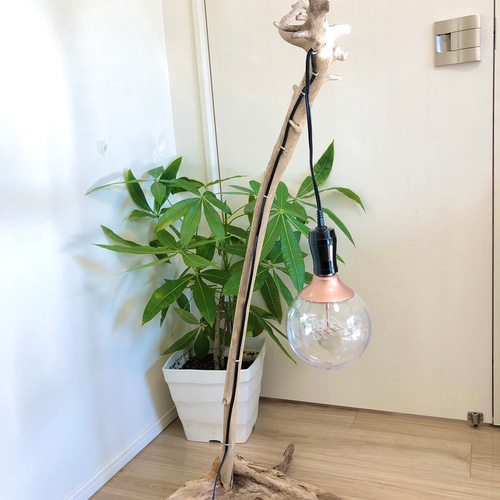 流木ライトスタンド NatureArt 流木のスタンドライト | RoomZ interior