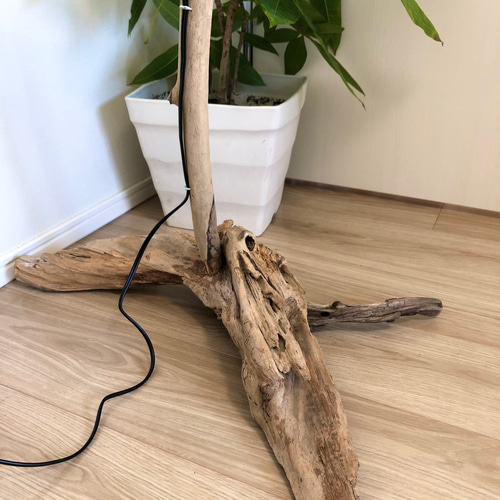 木の幹の流木ライト スタンドライト インテリアライト スタンドライト