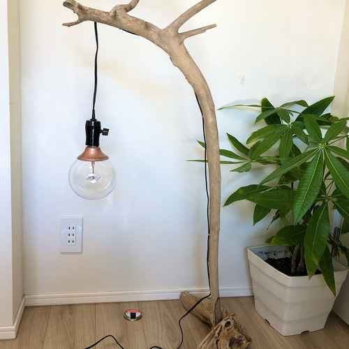 流木スタンドライト　インテリアライト　照明 NatureArt 流木のスタンドライト | RoomZ interior