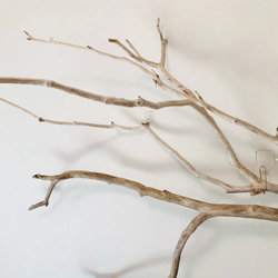 Branch Wood  Wall Decoration 枝流木ハンギングインテリア　ウォールデコ 5枚目の画像