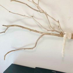 Branch Wood  Wall Decoration 枝流木ハンギングインテリア　ウォールデコ 8枚目の画像