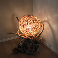 流木 ライト オブジェ スタンドライト・テーブルランプ Drift Things