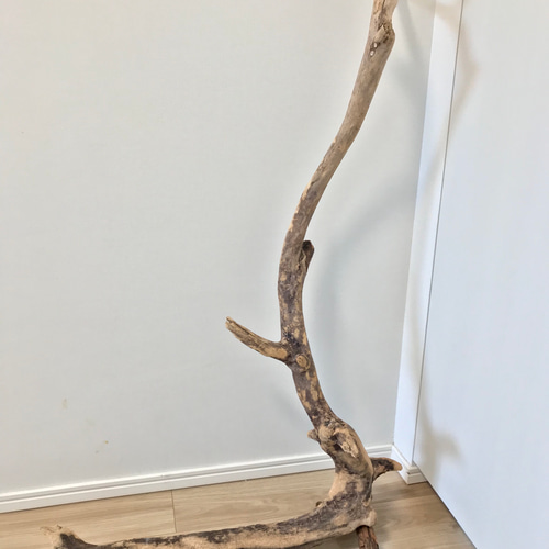 一本枝流木のインテリア スタンドインテリア ランタンスタンド その他