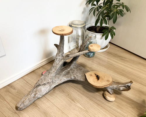 木の根の流木のフラワースタンド 一輪挿し・花瓶・花器 Drift Things