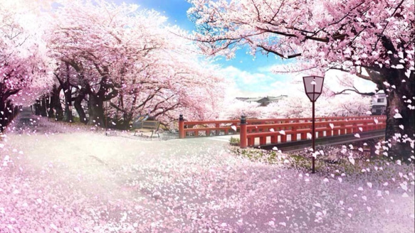 ◈桜が飛んでいる、花の体◈桜が雪を吹いている。PADICO.14KGF。日本製。ネックレス。金箔。磁器。短鎖。ピンク。青。女の子 7枚目の画像