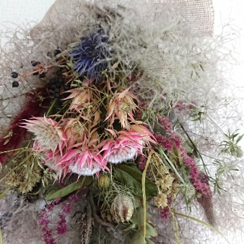 スモークツリーとセルリアのドライフラワースワッグ スワッグ lea pua  