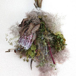 スモークツリーとプロテアのドライフラワースワッグ スワッグ lea pua